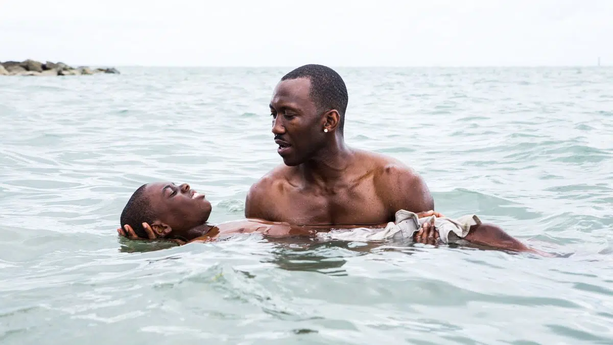 Moonlight -Barry Jenkins